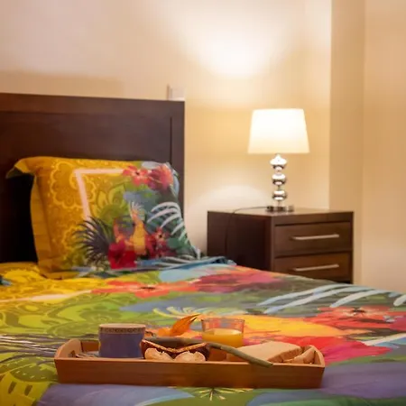 Freitas House By Homie *