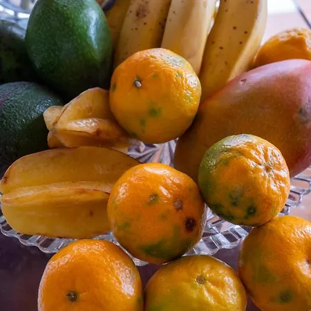 Apartment Freitas House By Homie Ponta do Sol (Madeira)